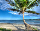 DestinosRD.com