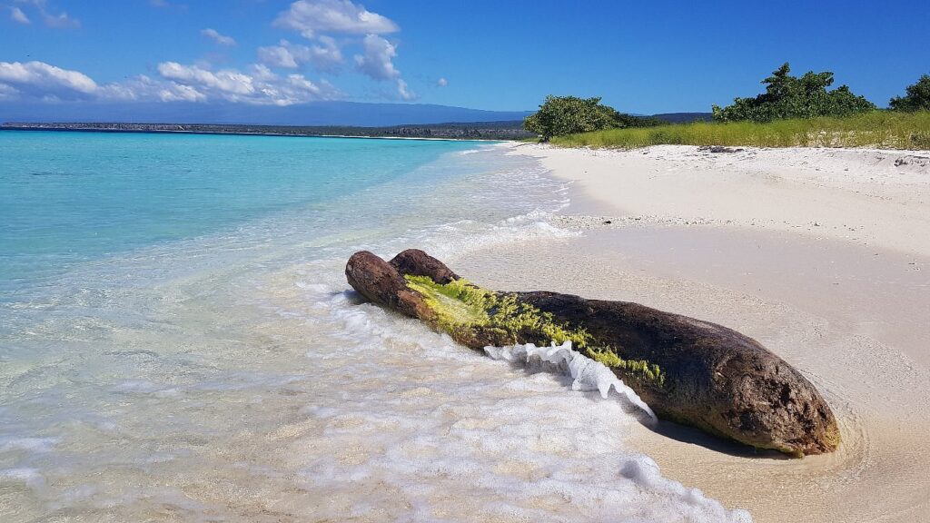 Playa Bahía de las Águilas, Playas República Dominicana